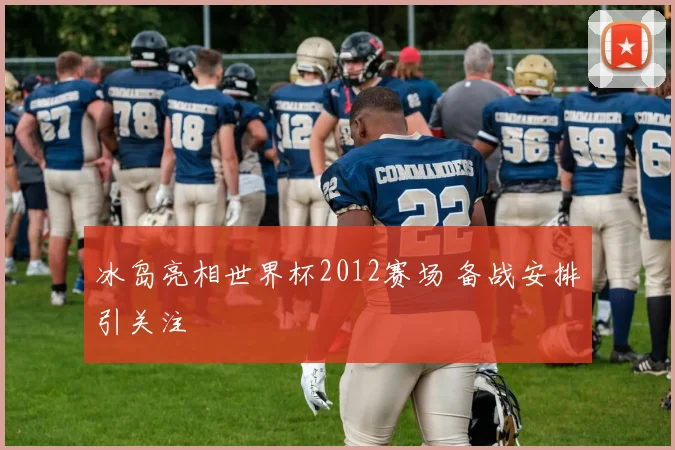 冰岛亮相世界杯2012赛场 备战安排引关注